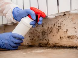 Trusted Dale, PA Mold Inspection Experts